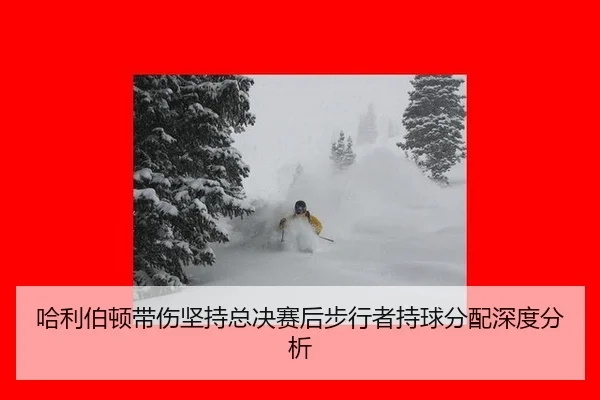 哈利伯顿带伤坚持总决赛后步行者持球分配深度分析